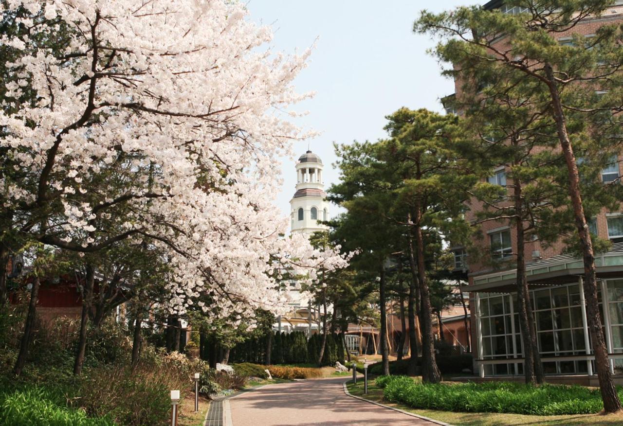 Mayfield Hotel Seoul Luaran gambar
